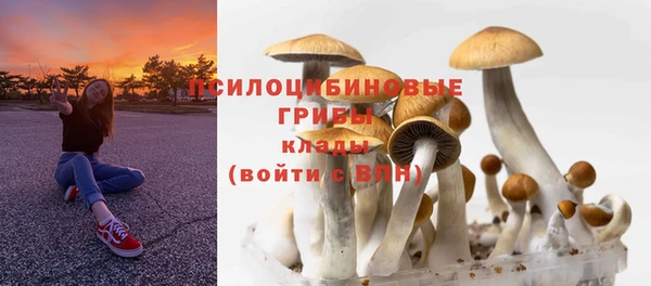 трава Армянск