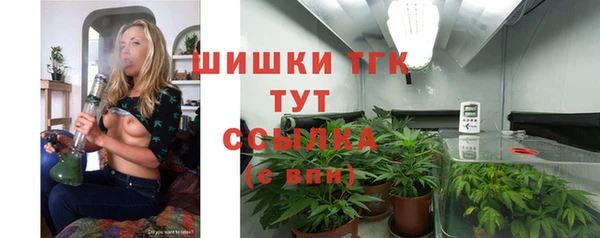 стаф Арсеньев