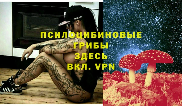 трава Армянск