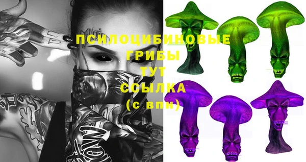 дурь Аркадак