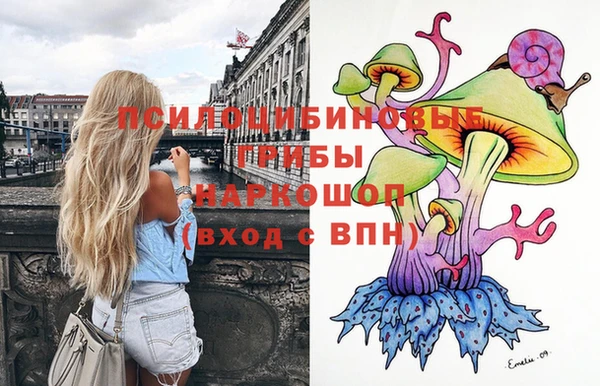 трава Армянск