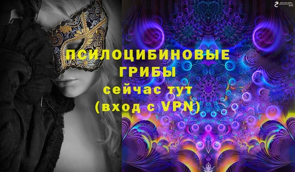 трава Армянск
