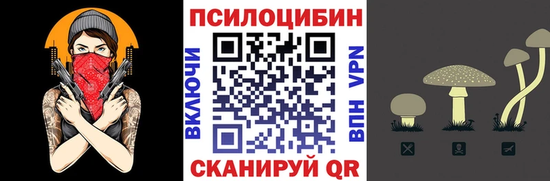наркотики  Лениногорск  Псилоцибиновые грибы Psilocybe 